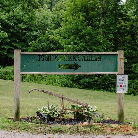 Pine Creek Cabins & Camping Resort South Bloomingville Екстериор снимка
